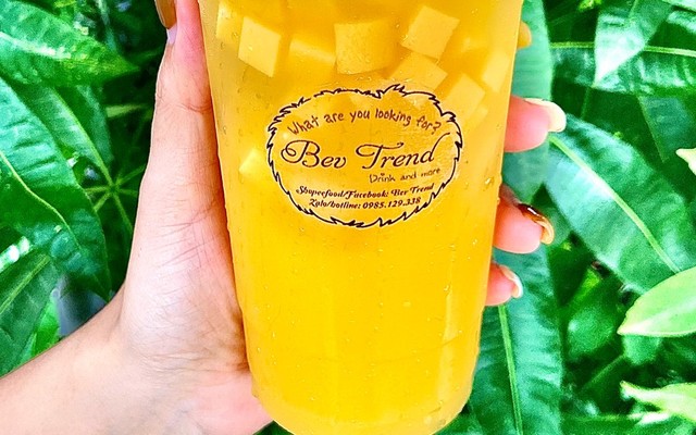 Bev Trend - Hùng Duệ Vương