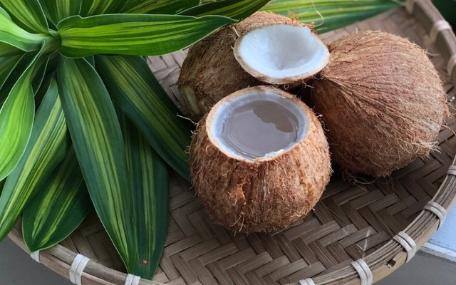 Dừa Bến Tre - Đường DN10