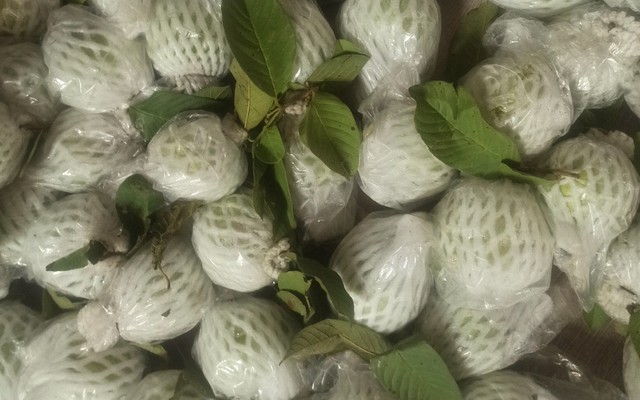 Mật Mật Fruits - Võ Văn Kiệt