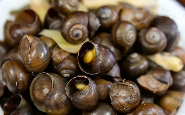 Ánh Ốc - Ốc Sơ Chế Các Loại - Bế Văn Đàn