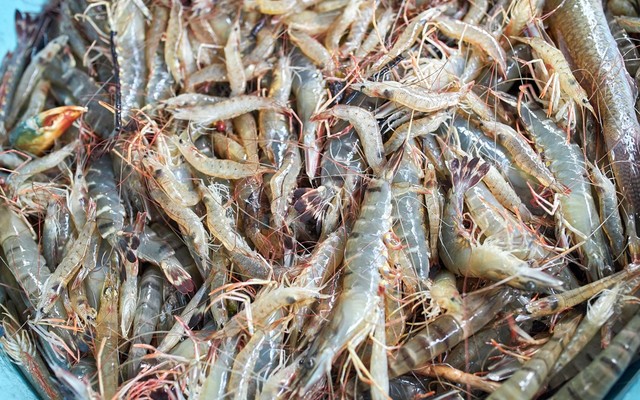 Tiệm Thực Phẩm 444 - Nguyễn Văn Trỗi