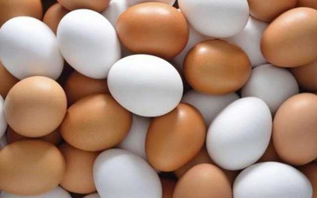 Trứng Tươi Khang Long - Lâm Văn Bền