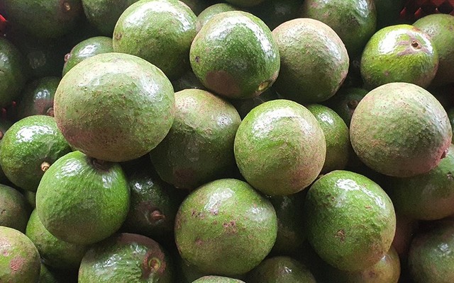 Trái Cây Kiến Huy - Cách Mạng Tháng 8