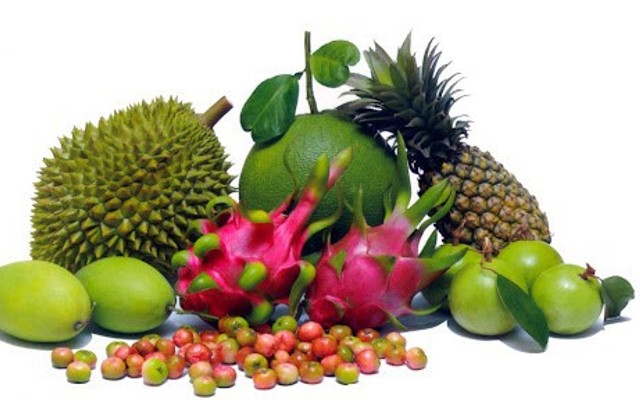 Ăn Vặt & Trà Sữa Đóng Chai - Bin Béo