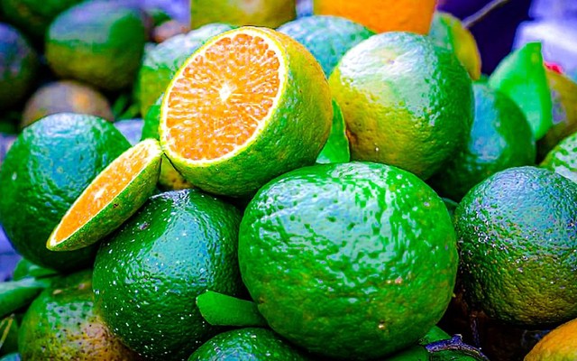 Heo Béo Mèo Mập - Trái Cây & Món Đặc Sản