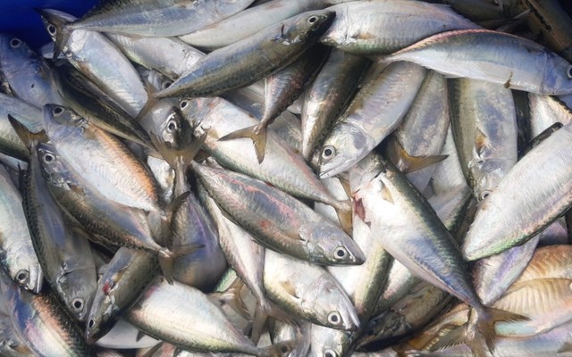 Hương Biển - Hải Sản Tươi Sống - Nguyễn Ái Quốc