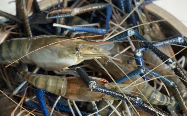 Hải Sản Trọng Nhân - Đường 30/4