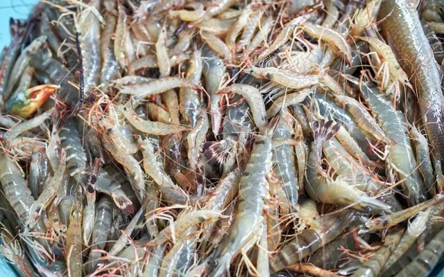 Quán Hưng - Hải Sản Sạch