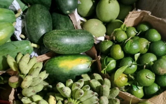Shop Vựa Trái Cây Bến Tre - Lê Văn Quới