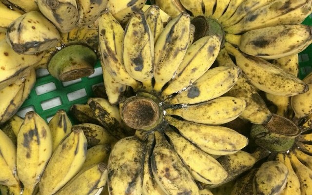 Tiệm Trái Cây Miền Tây - Chung Cư Sư Vạn Hạnh