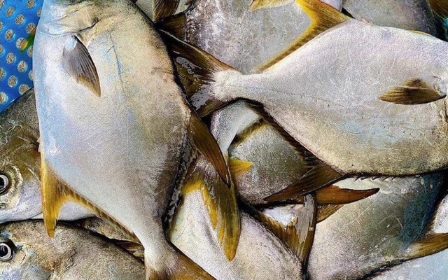 Oz Food - Đặc Sản Biển