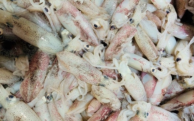 Vựa Cua Đăng Quân - Trần Hoàng Na