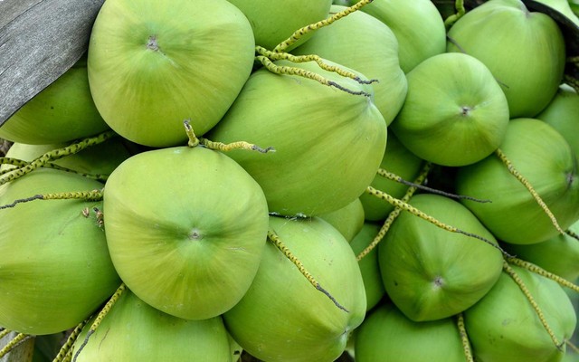 Vựa Dừa Phương Duyên - Đặng Minh Trứ