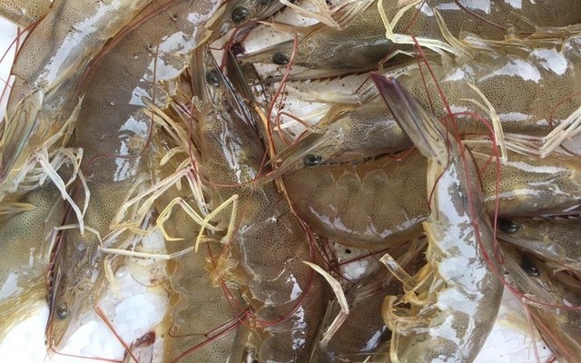 Hải Sản Tươi Sống - Quán Linh Nguyễn