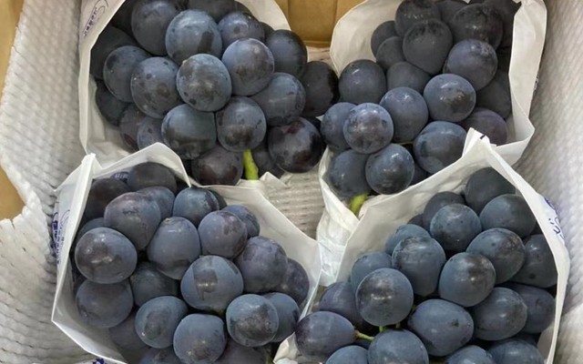 Heri Fruits - Trái Cây Nhập Khẩu