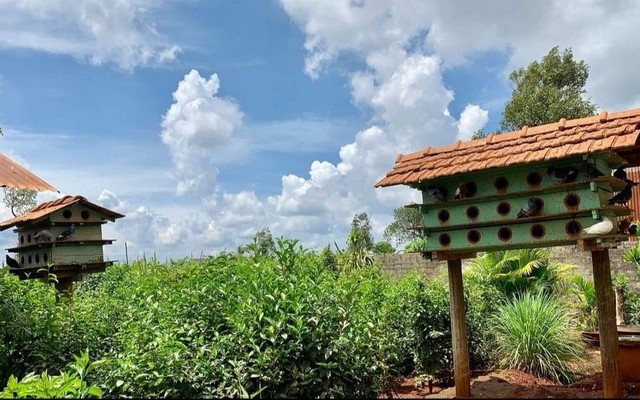 Bé Thảo Food - Lạc Long Quân