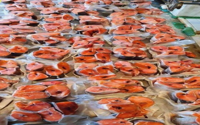 Voi Food - Đội Cấn