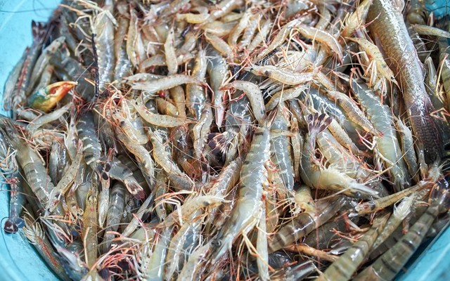 Hải Sản Tươi Sống Thanh Hương - Nguyễn Quyền