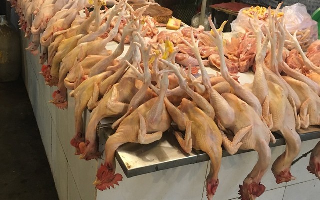 Tấn Thảo Foods - Thực Phẩm Tươi & Đông Lạnh -  Nguyễn Bảo Đức