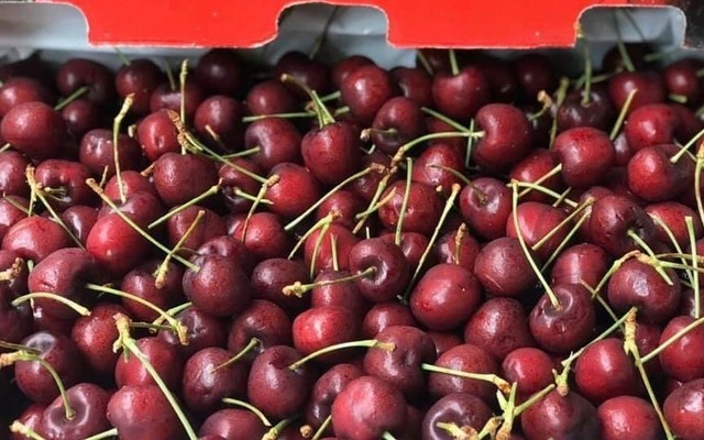 Oganic Biên Hoà - Đặng Đức Thuật