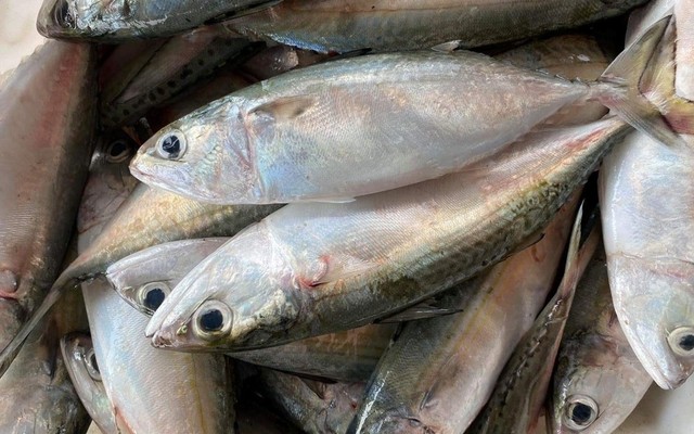 Kmart - Hải Sản Cô Tô - Vũ Hữu