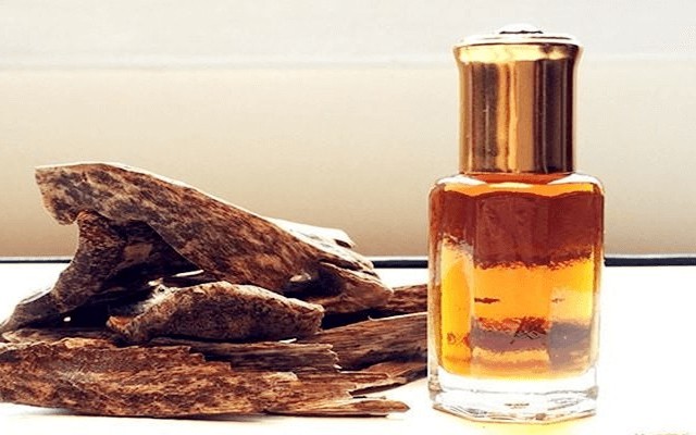 Quán Dầu Tràm Nguyên Chất Huế - Hàm Nghi - Shop Online