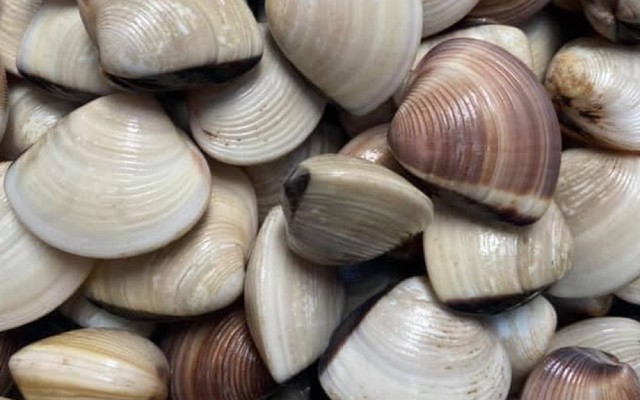 Hải Sản Thy Mon - Lê Văn Sỹ