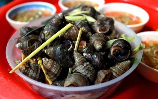 Ốc Tý - Thái Phiên