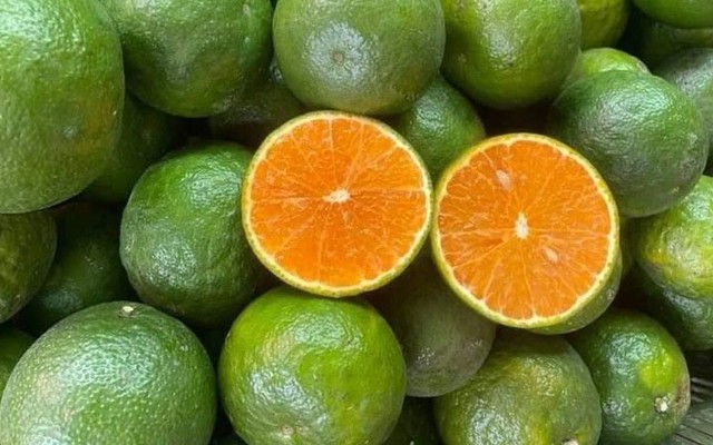 Dorris Nguyễn - Cam Tươi Hiếu Liêm - Huỳnh Văn Luỹ