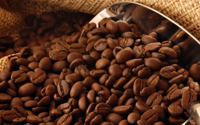 Hủ Tiếu Mực - Phạm Huy Thông