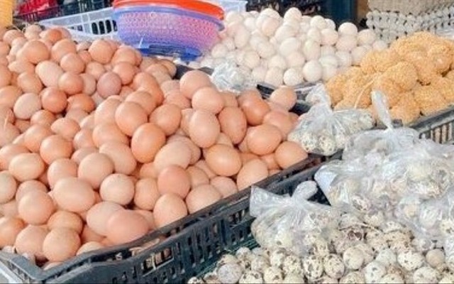 Thanh Trúc - Trứng Gà & Trứng Vịt - Đồng Nai