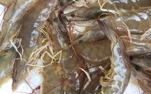 Quán Thu Hiền - Hải Sản Tươi Sống - Vũ Tùng