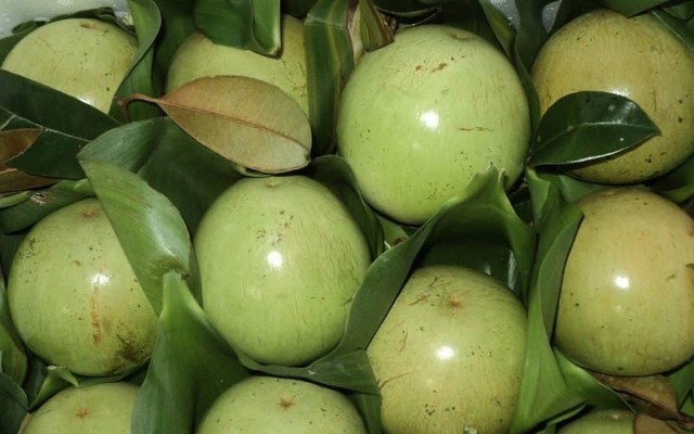 Tâm An Mall - Tôn Đức Thắng