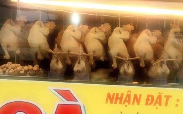 Gà Ta Bảo Chung - Cháo Gỏi Gà & Mì Vịt Tiềm