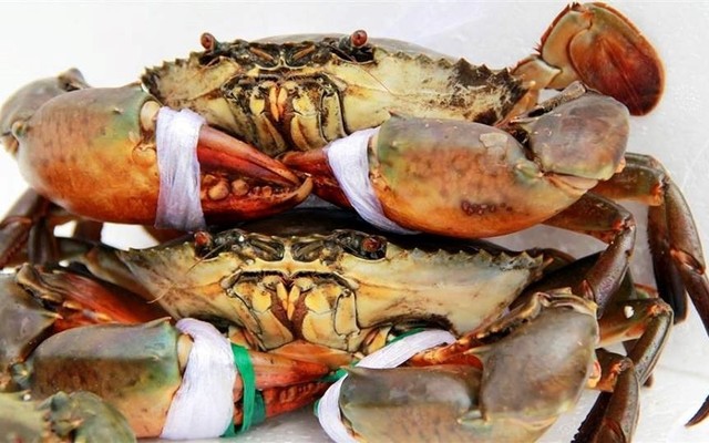 Vựa Cua Minh Chiến - Văn Thân