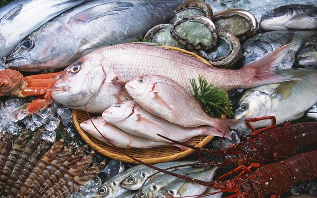 Cửa Hàng Hải Sản Hòa Béo - Khương Đình