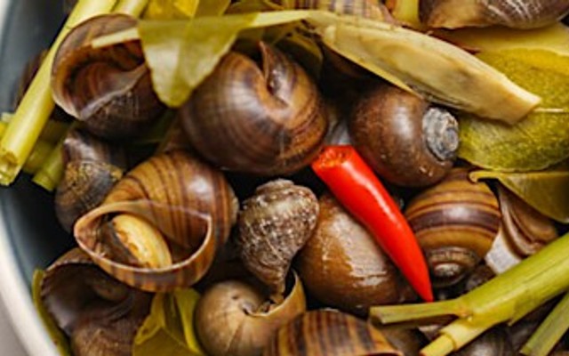 Ốc Cô Ba Sài Gòn - Phủ Liễn