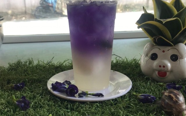 Mrs.Dừa BiBo - Sâm Bí Đao & Chè Sương Sáo - Đặng Đức Thuật