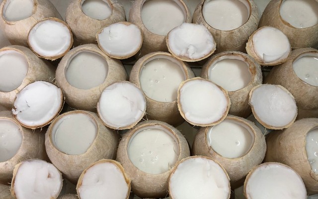 Zìn Zìn Grocery Store - Rau Câu Nước Cốt Trái Dừa