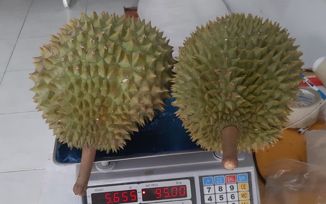 Nu Trái Cây - Đường Số 15