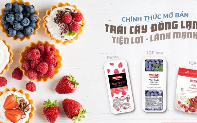Andros - Trái Cây Tươi Đông Lạnh - Cụm Công Nghiệp Ngọc Hồi