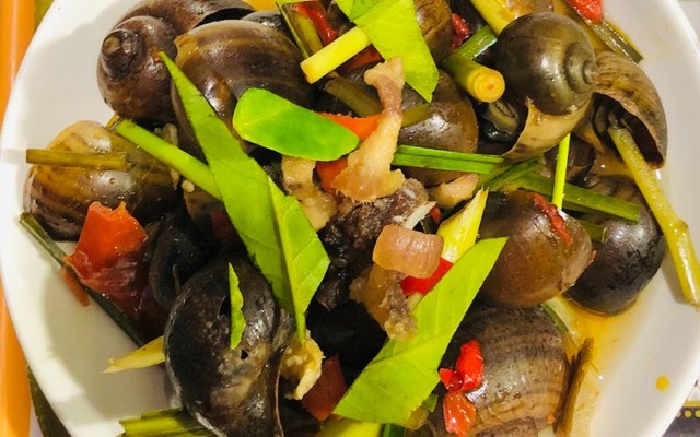 Ốc 287 - Tăng Bạt Hổ