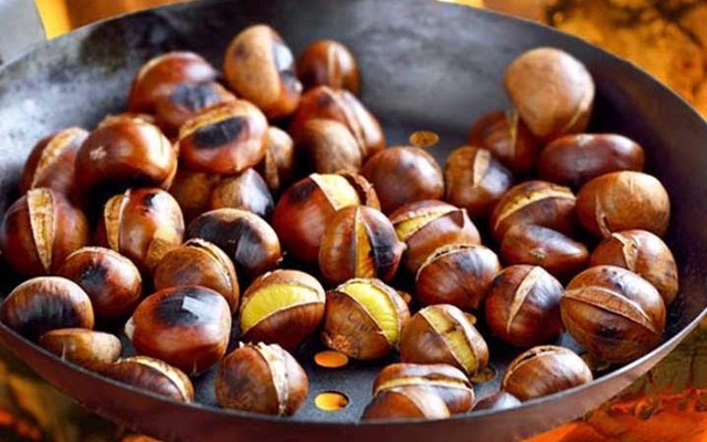 Hạt Dẻ T&T - Nguyễn Đức Cảnh