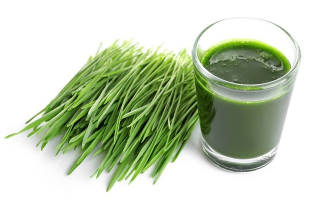 Cỏ Lúa Mì - Đồ Uống Sức Khỏe - Phan Đăng Lưu