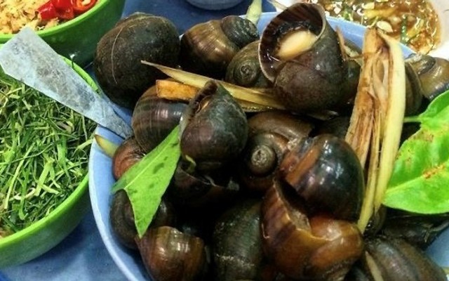 QUÁN ỐC HOÀNG - LÊ THỊ HỒNG