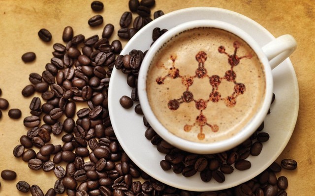 Coffee Thanh Tùng - Phan Anh