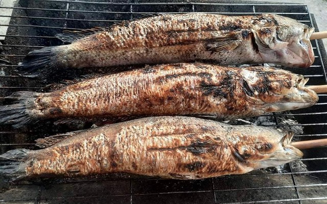 Cá Lóc Nướng Muối Ớt & Bò Lá Lốt Nam Thy