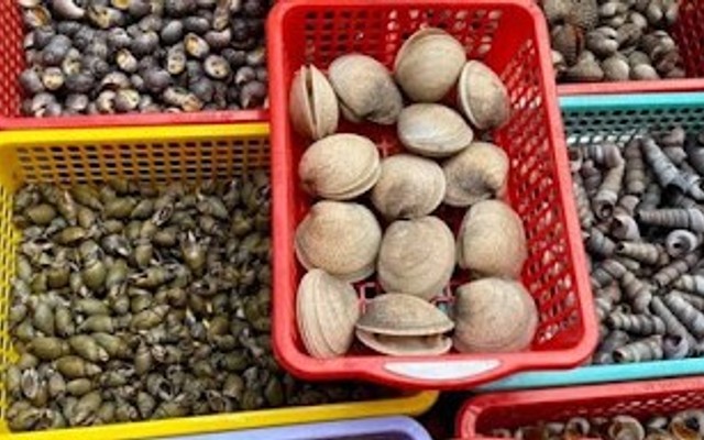 Ốc Ngon 98 - Đình Đông