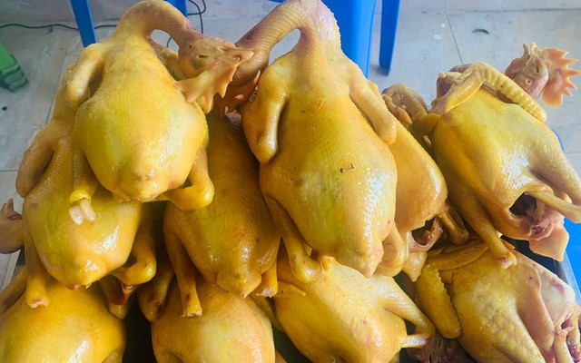 Tiệm Gà Bích Thảo - Trâu Quỳ