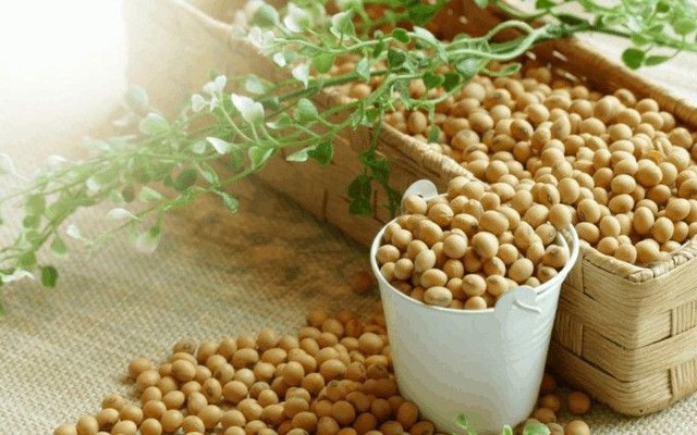 I'm Soy - Sữa Nành Rang Cho Sức Khỏe - Đường 07